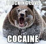 I-fucking-love-cocaine.jpg