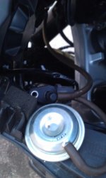 IMAG0218.jpg IMAG0218.jpg