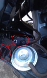 IMAG0218.jpg IMAG0218.jpg