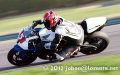 IMG_5420.jpg