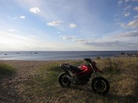 IMG_0166.jpg