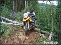 4958-M-1.jpeg
