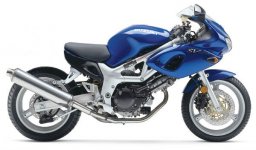 SV 650 S_fighter.jpg