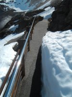 PICT0508.jpg