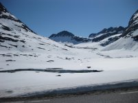 IMG_0595.jpg