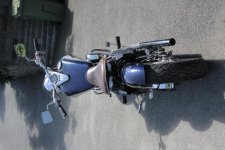 IMG_6736.jpg