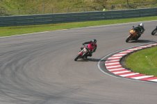 IMGP0310.jpg