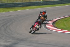 IMGP0311.jpg