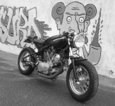 DSC00886.jpg