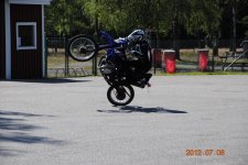 DSC_0231.jpg