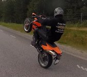 wheeliegorgos.jpg