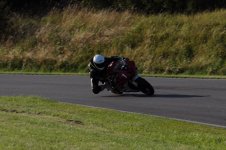 DSC_0154.jpg