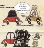 Tinted Windows_595.jpg