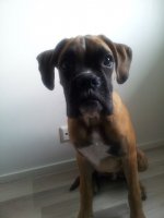 20120814_143036.jpg