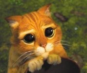 7582720_4794.jpg 7582720_4794.jpg