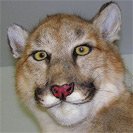 Avatar_3.jpg