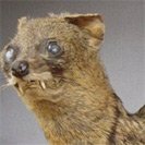 Avatar_4.jpg