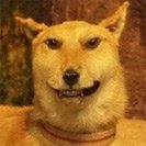 Avatar_6.jpg