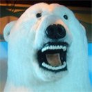 Avatar_12.jpg