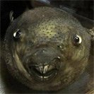 Avatar_13.jpg