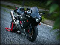 Aprilia_Mille.jpg