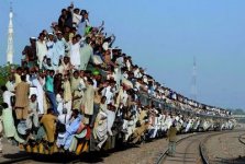 TG-IND~1.JPG