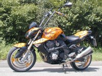 z1000 2.jpg