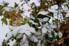 IMG_8515.jpg
