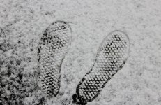 IMG_8518.jpg