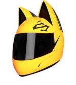 cat_big.jpg