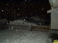 P1010005.JPG