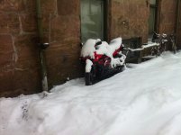 IMG_0630.jpg