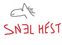 snel.jpg