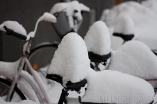 IMG_6163_.jpg