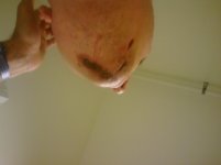 DSC00132.jpg