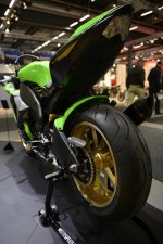 _BIK3977.jpg