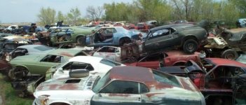 salvage-8-585x250.jpg