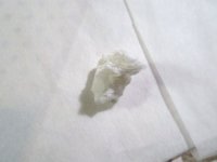tissue%u00252Bpaper10062011_004.jpg