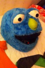 image.jpg