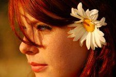 woman,eyes,girl,portrait,redhead,beautiful-b73add9b8185a9a83e0b5dcc27e15f08_h.jpg