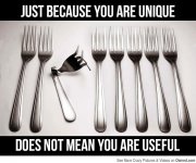 just_because_you_re_unique_doesn_t_mean_you_re_useful_big.jpg