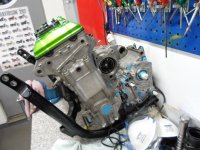 ZX9R Dreams 013.jpg