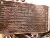 IMG_20130427_205115.jpg