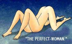 37086_the_perfect_woman.jpg