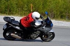 DSC_2009.jpg