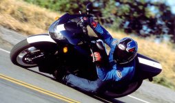 Alligator+Motorcycle+Knee+Dragging.jpg