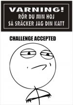 Katt.jpg
