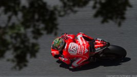 soup_gp_hayden_trees_9354.jpg