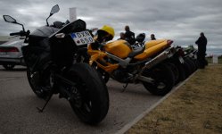 DSC_9331.jpg