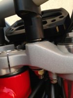 rizoma.jpg rizoma.jpg